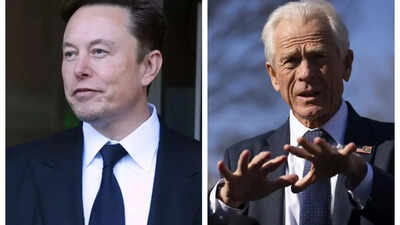 Donald Trump's key trade adviser Peter Navarro responds to Elon Musk calling him 'Moron' and 'dumber than a sack of bricks', 'Elon and I are ...'