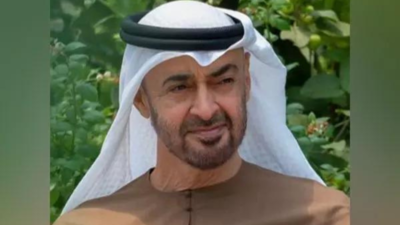 UAE President sends letter to Japan's PM delivered by UAE special envoy