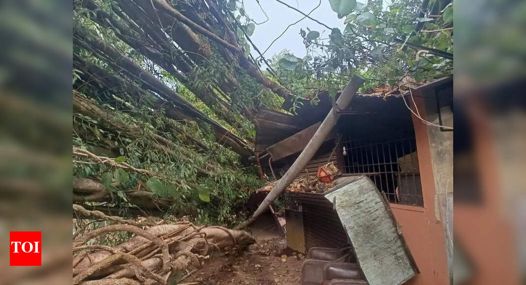 Three houses damaged as tree falls due to rain, strong winds in Udupi ...