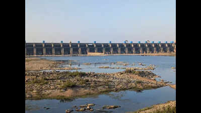 Live storage slightly lower in Nagpur dams, marginally up in Amravati compared to last year