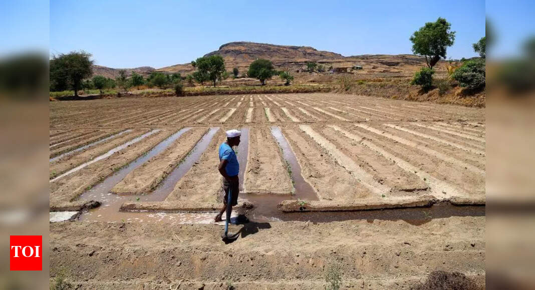 Unseasonal rain damages crops on 1,300 ha in Jalgaon | Nashik News ...