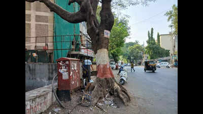 Retired ACP injured after dangling wire trips bike on Tilak Road