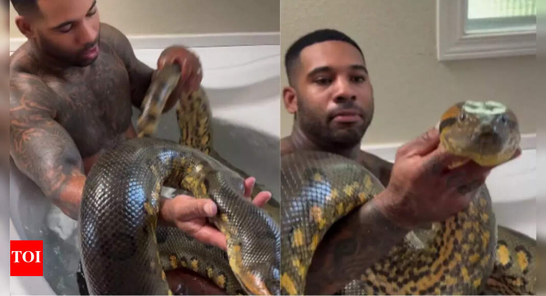 Watch | Man bathing with giant python in the bathtub goes viral ...