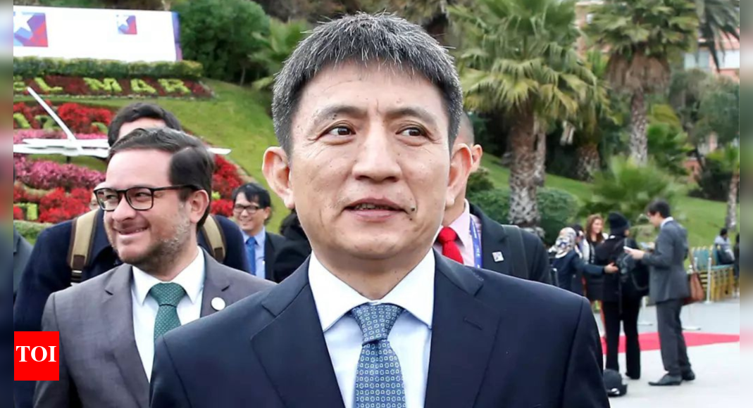 China appoints new top trade negotiator amid tariff tensions with US