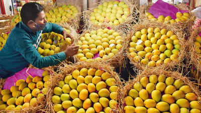 Mango is here! Is the ‘king of fruits’ a sugar trap?