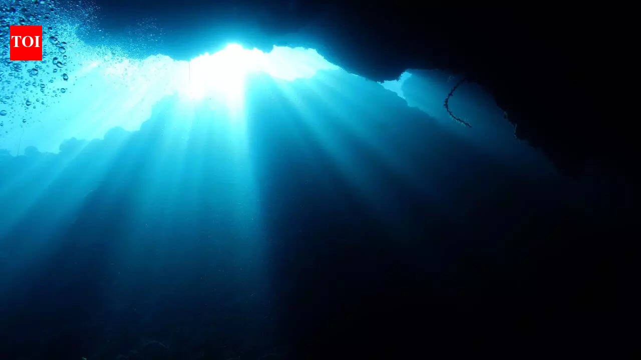This real-life creature can stop ageing and live forever