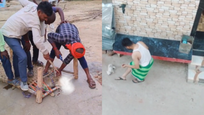Dog’s teeth yanked out with pliers; pups & mom beaten to death in Madhya Pradesh