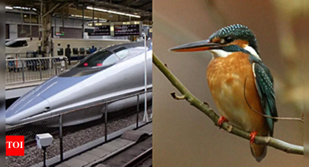 View of Why is the bullet train’s nose shaped like a beak of a bird - here’s ...