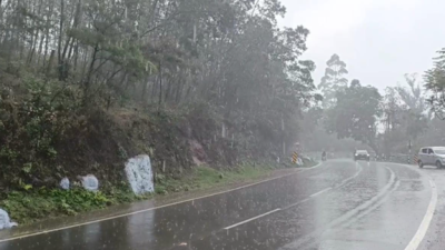Ooty receives summer rain; farmers and tourists enthused