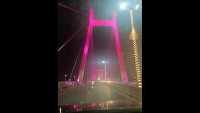 Prayagraj Municipal Corporation to maintain Yamuna bridge facade lights, 6 new ghats