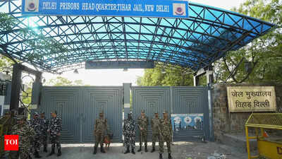 Assure accused will not go to Tihar: UK extradition authority ...