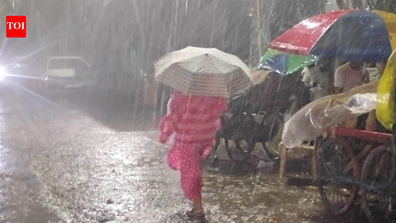Delhi's sudden rainfall brings cool respite after scorching heatwave ...