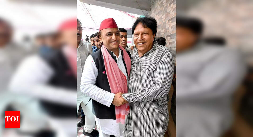 Yogi planned protest against Dalit MP to show strength to Delhi ...