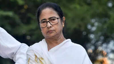 Murshidabad violence: West Bengal CM Mamata Banerjee appeals for peace amid rising tensions | India News - The Times of India