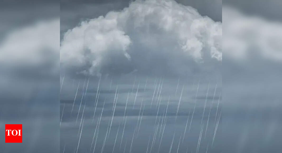 Light rain likely for a day, dry weather later - The Times of India