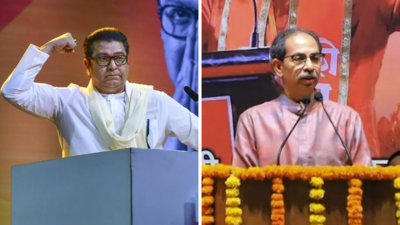 Uddhav and Raj Thackeray reunion on the cards? What BJP, Congress, NCP said
