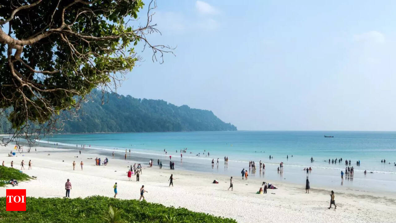 Discovering Elephant Beach: The Andamans' best-kept secret | - The Times of  India