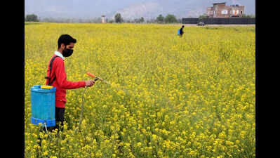 State govt commitment to farmers’ welfare: Haryana CM Saini