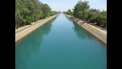 Contaminated canal water raises concern in Abohar, Fazilka dists