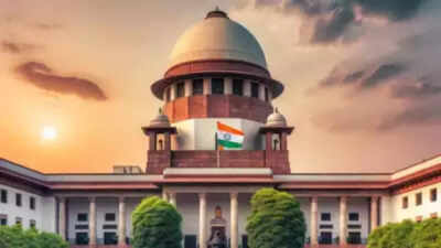 'As it is, we are alleged of encroaching upon parliamentary & executive functions': SC amid remarks on judiciary