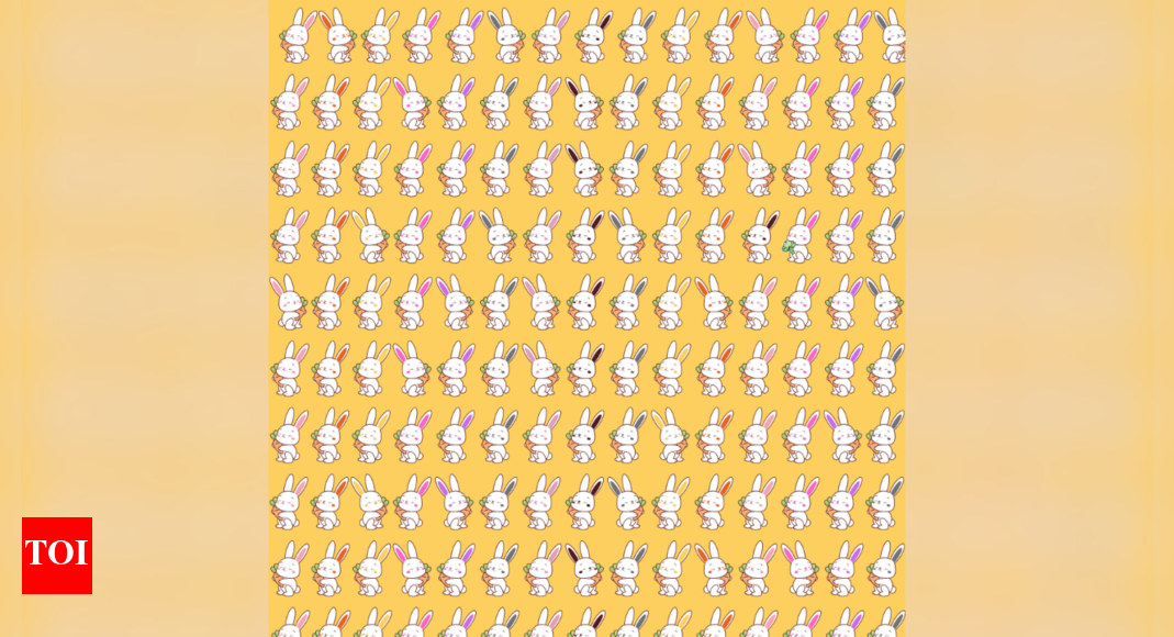 Optical illusion: Are you an animal lover? Spot the rabbit who is not ...