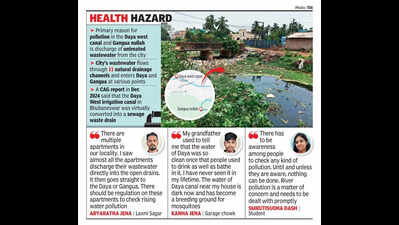 Lens on deteriorating water quality of Daya canal & Gangua nullah