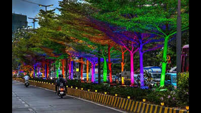 10K penalty on restaurant for installing electric lights on tree ...