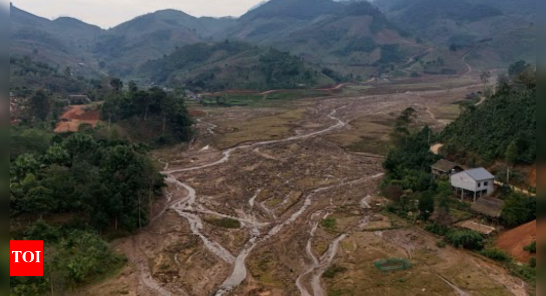 Vietnam village begins over with local weather defences after landslide | World Information