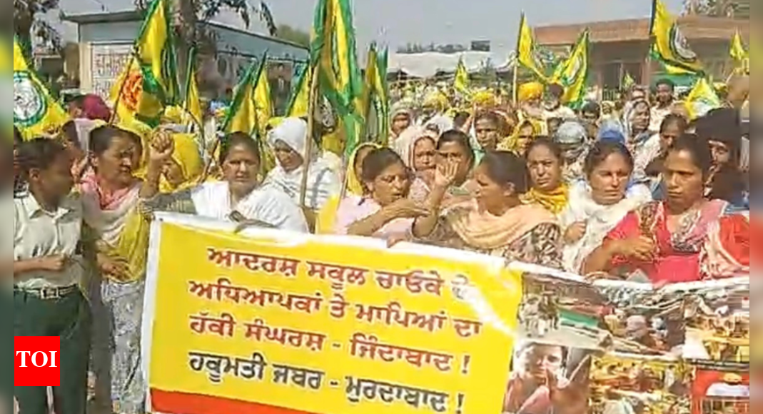 Academics, rights activists urge Punjab CM to act against police ...