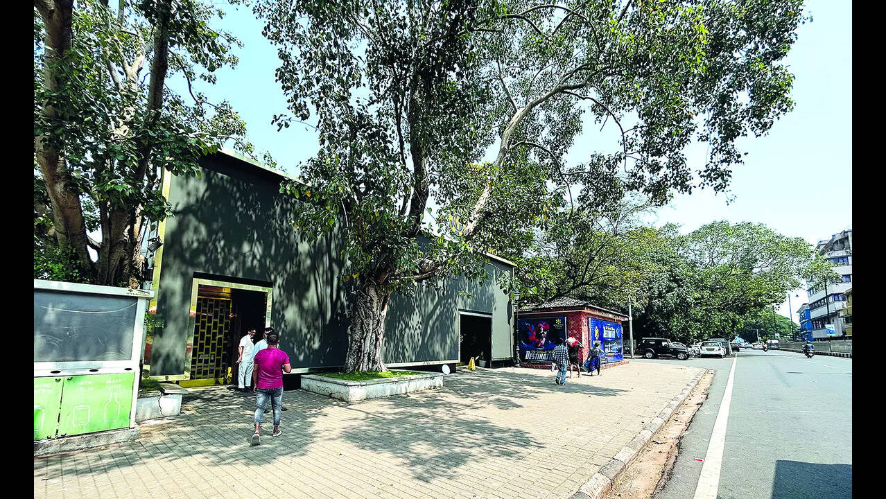 PIL over land grant for casino use, HC sends notice to govt