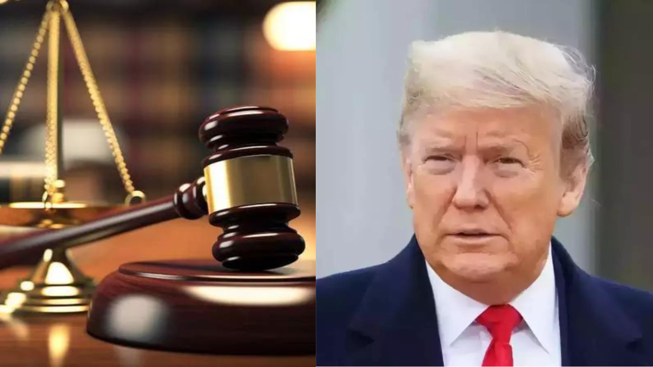 Twelve states sue Donald Trump administration in trade court over 'chaotic and illegal' tariff policy - The Times of India