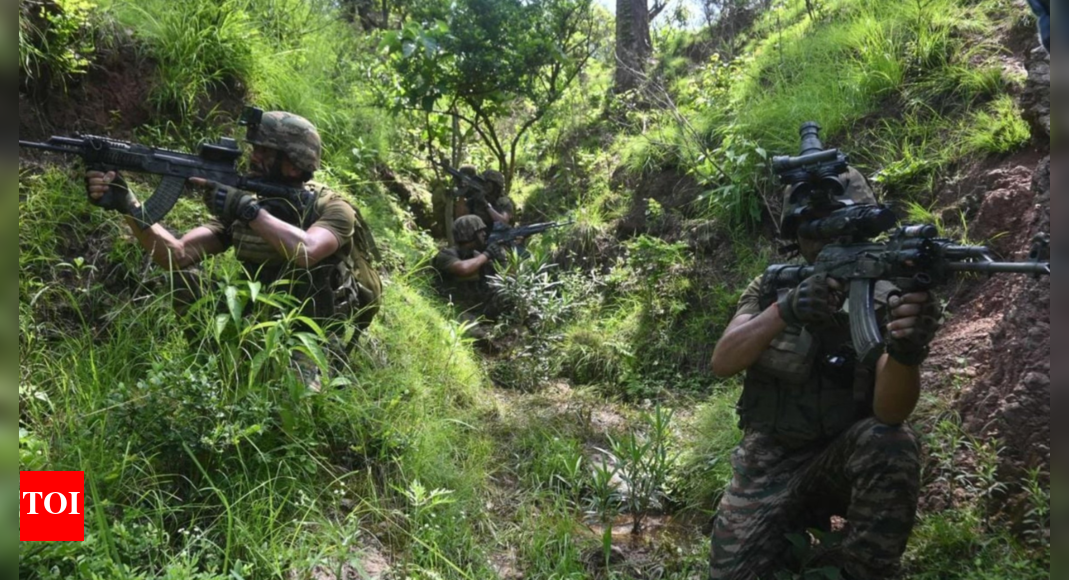 Soldier killed in Udhampur encounter; search ops continue in Poonch