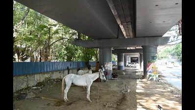 MRTS underspace on Sivananda Salai to get green makeover