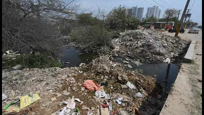 Plea flags garbage dumping in creek off Delhi-Gurgaon Expressway, NGT seeks govt reply