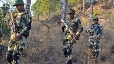 Putting Simla Agreement on hold absolves India of obligation to respect Line of Control