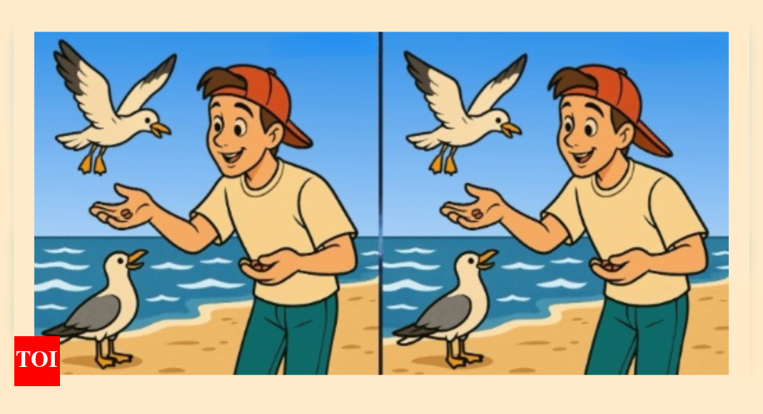 光学錯覚：最も鋭い目を持つ人だけが、鳥を養う鳥の写真に3つの違いを見つけることができます