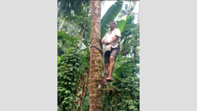 Goan organic farmer’s self-sufficient paradise blooms in remote nook of Pernem