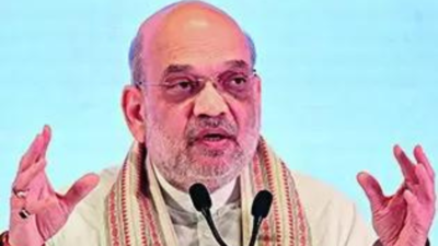 Amit Shah dials CMs, says ensure Pak nationals quit India by deadline