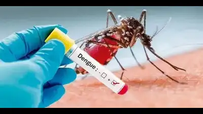 Jan-March dengue cases down to 23 from 2024’s 76