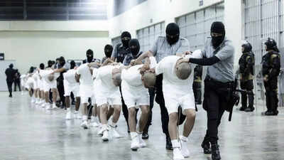  What Trump govt asked ICE agents to do for deporting Venezuelan gang members