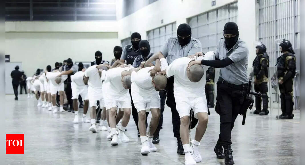 'Break into homes without warrant': What Trump govt asked ICE agents to do for deporting Venezuelan gang members