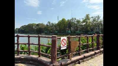 Dighalipukhuri cleanup: Citizens collect 1k-kg waste in 25wks, install bamboo bins