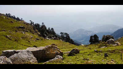Himachal forest department withdraws controversial circular on Forest Rights Act after public backlash