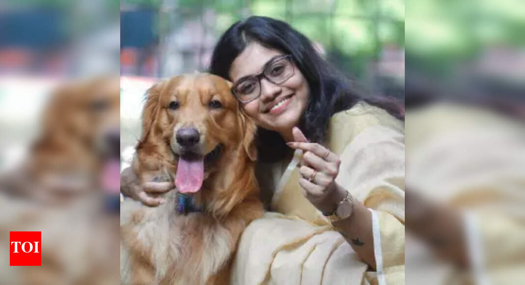 toi.in