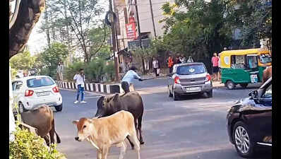 Vandalized vehicles in Shahpura, Bhopal