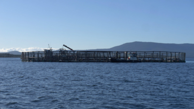 France, Germany and Italy failing to stop destructive fishing: NGOs