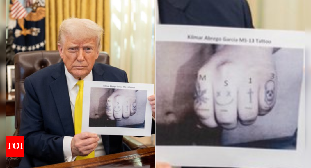 Donald Trump's ABC interview turns into chaos over MS-13 tattoo: 'I could get Abrego Garcia back but...' - The Times of India