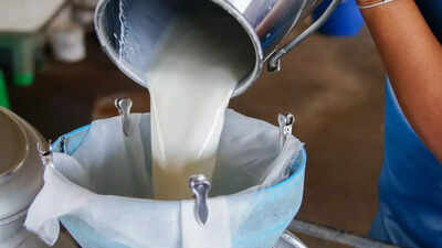 Man left his bank job to deliver milk in a Rs 50 lakh Audi: The story that's going viral