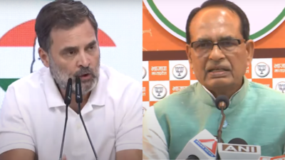 'We have shown we can pressure govt': Rahul Gandhi on Centre's caste census decision