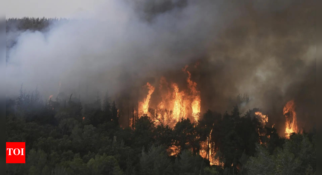 A wildfire closes main highway linking Tel Aviv to Jerusalem and sends 12 people to the hospital
